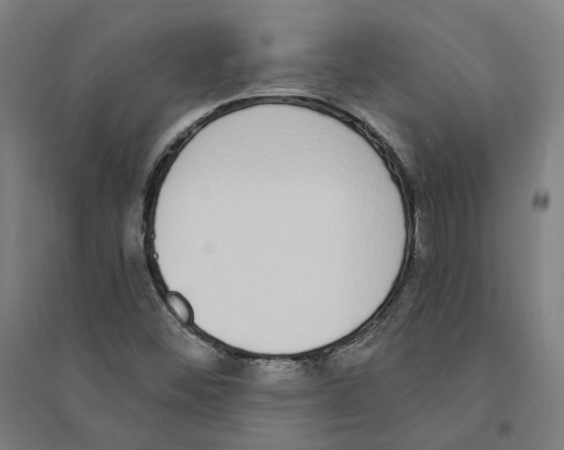 X0000094361452200711301414