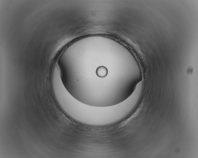 X0000094361453200711301414