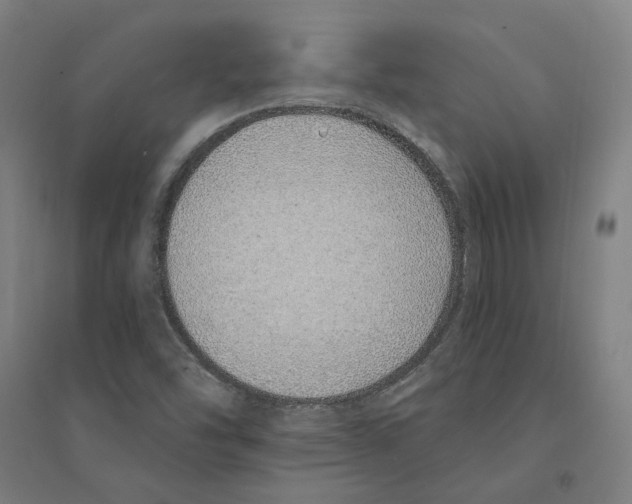 X0000094361454200711301414
