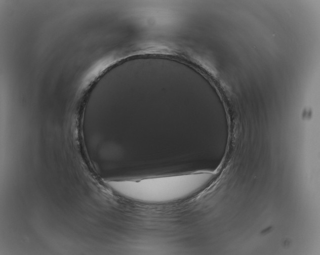 X0000094361455200711301414