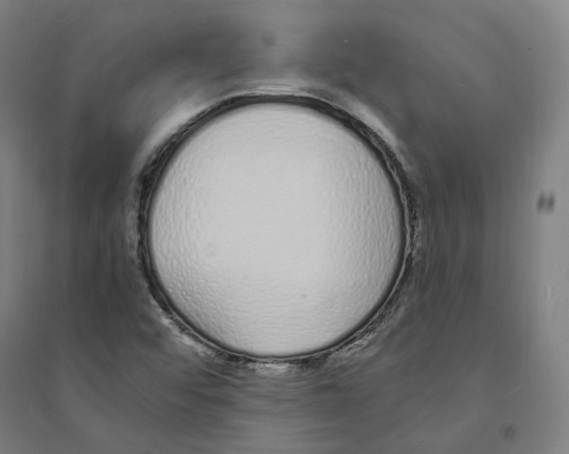 X0000094361456200711301414
