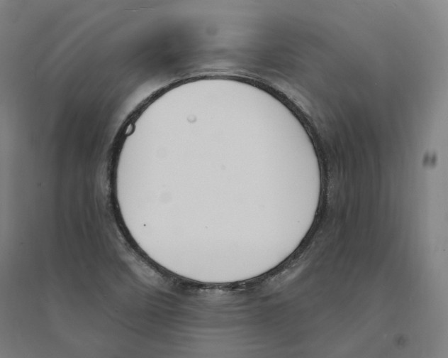 X0000094361458200711301414