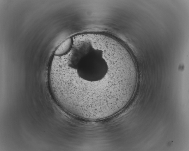 X0000094361459200711301414