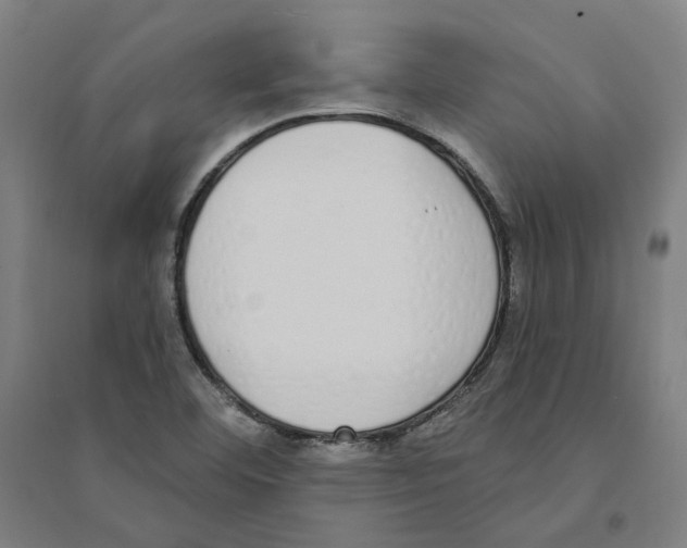 X0000094361460200711301414