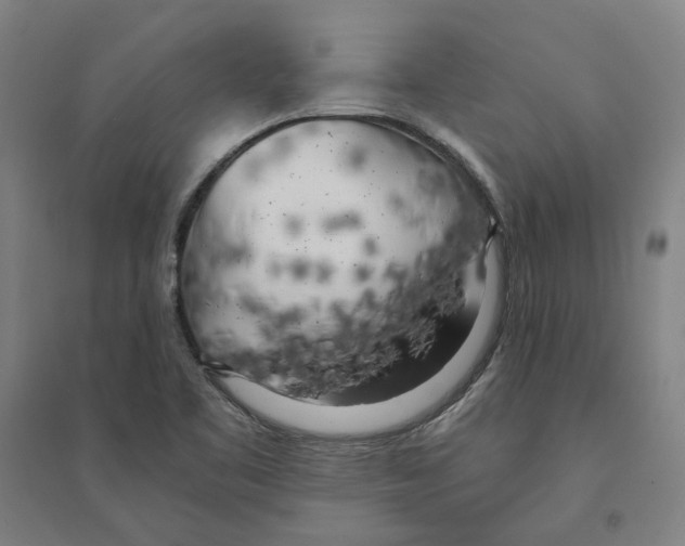 X0000094361461200711301414