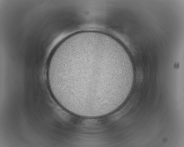 X0000094361462200711301414