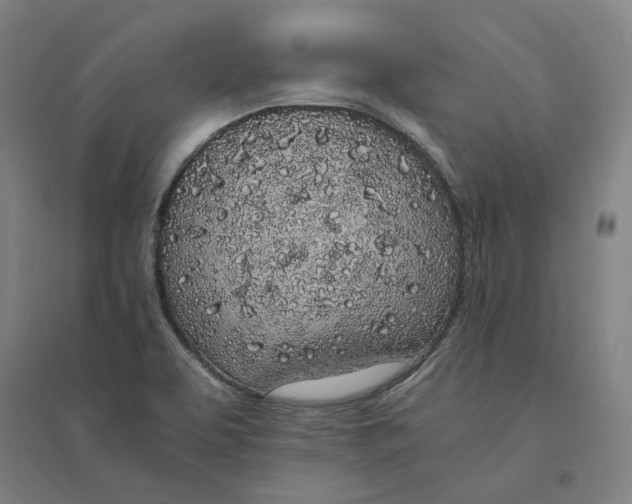 X0000094361463200711301414