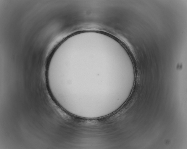 X0000094361464200711301414