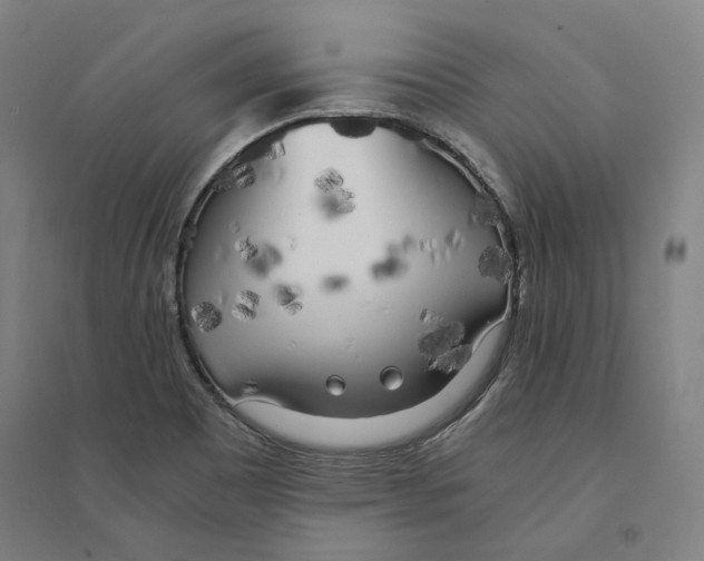 X0000094361465200711301414