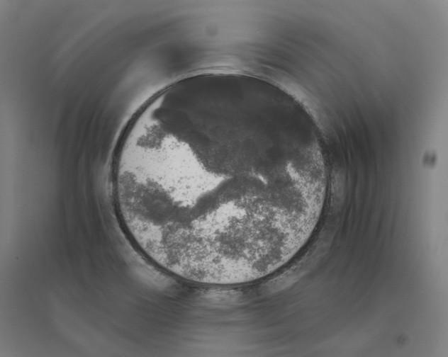 X0000094361466200711301414