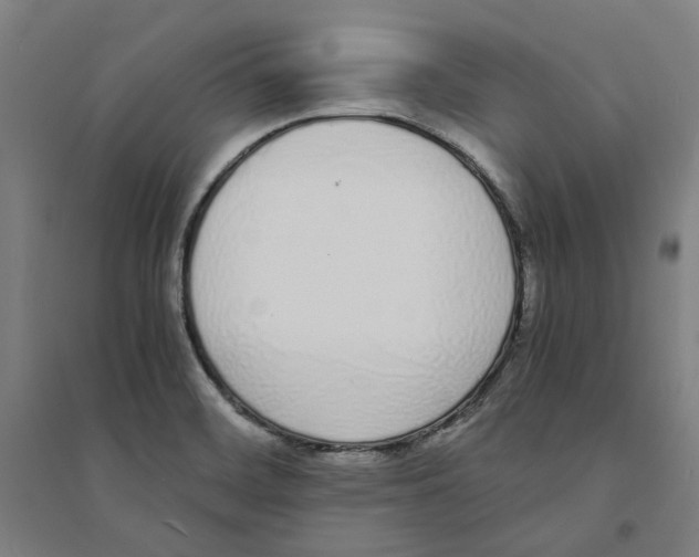 X0000094361468200711301414