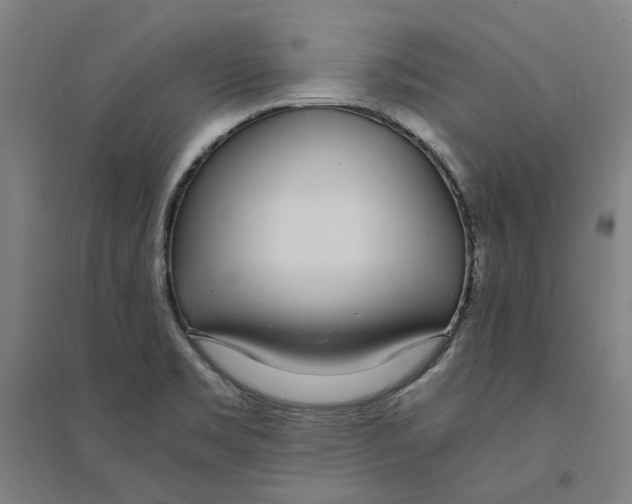 X0000094361469200711301414