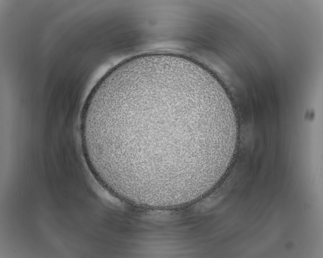 X0000094361470200711301414