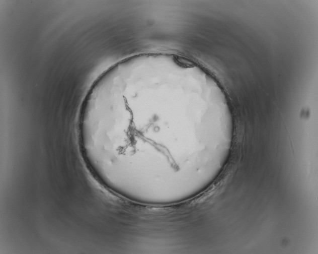 X0000094361471200711301414