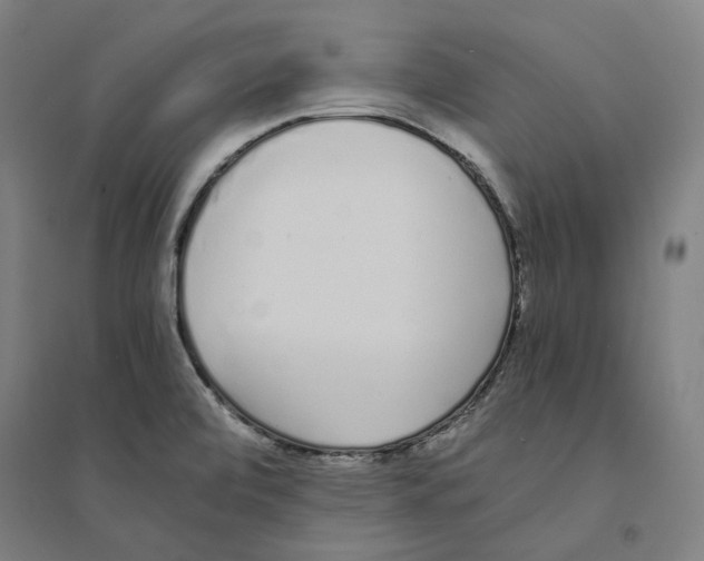X0000094361472200711301414