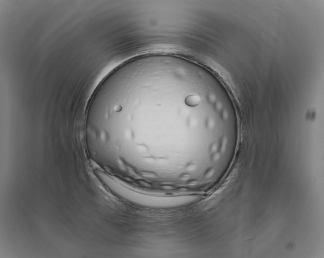 X0000094361473200711301414