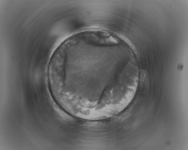 X0000094361474200711301414