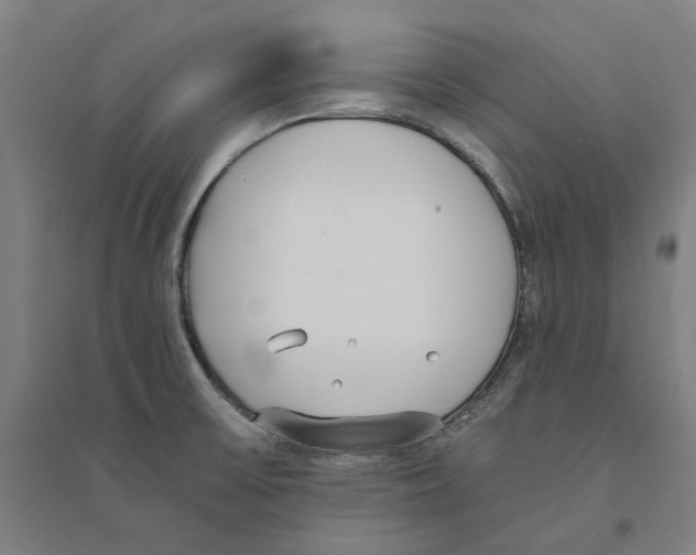 X0000094361475200711301414