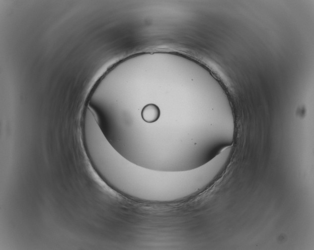 X0000094361476200711301414