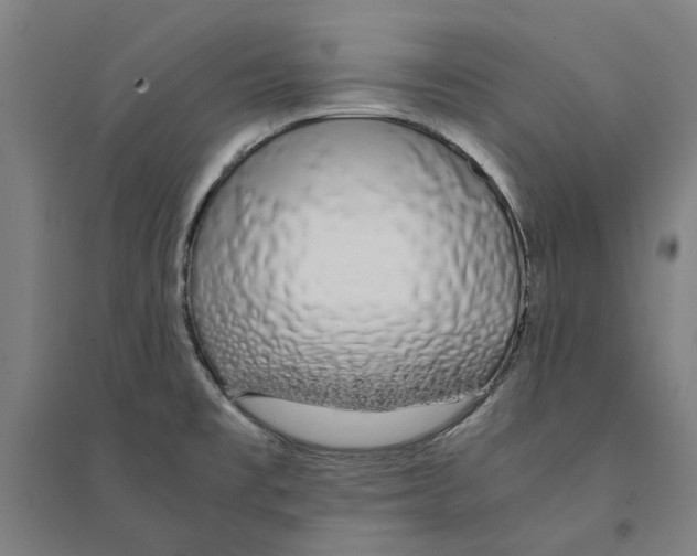 X0000094361477200711301414