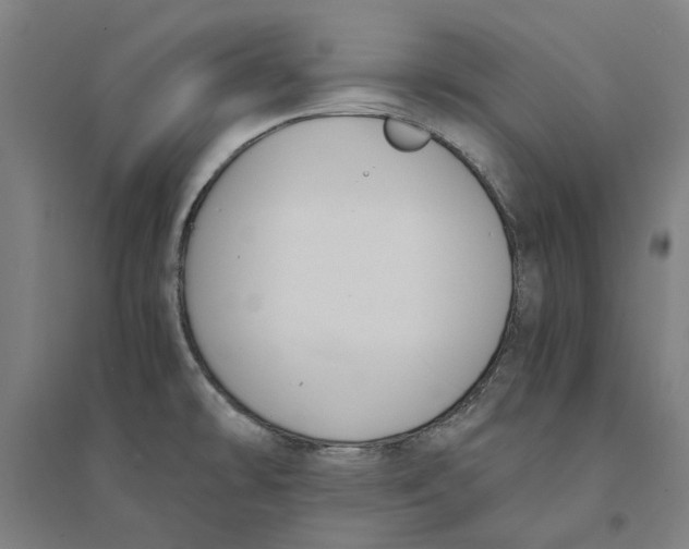 X0000094361478200711301414