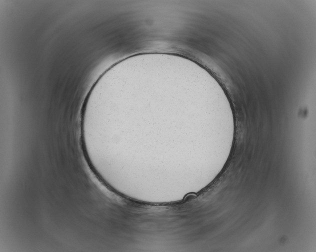 X0000094361479200711301414