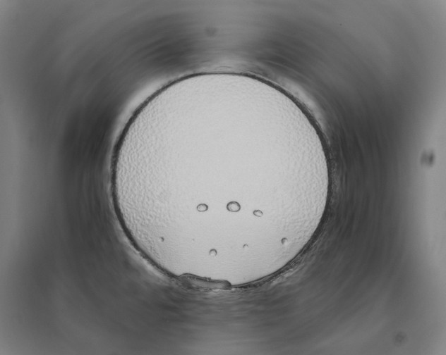 X0000094361480200711301414
