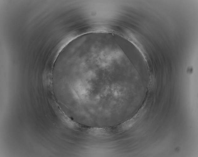 X0000094361481200711301414