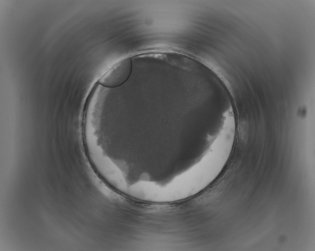 X0000094361482200711301414