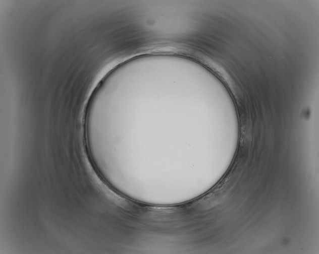 X0000094361483200711301413