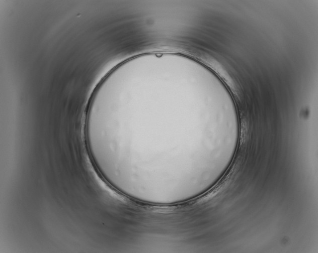 X0000094361484200711301413