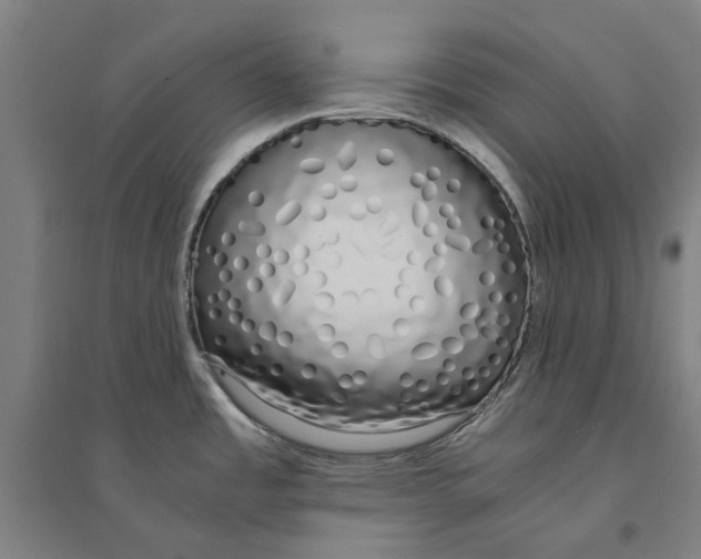 X0000094361485200711301413