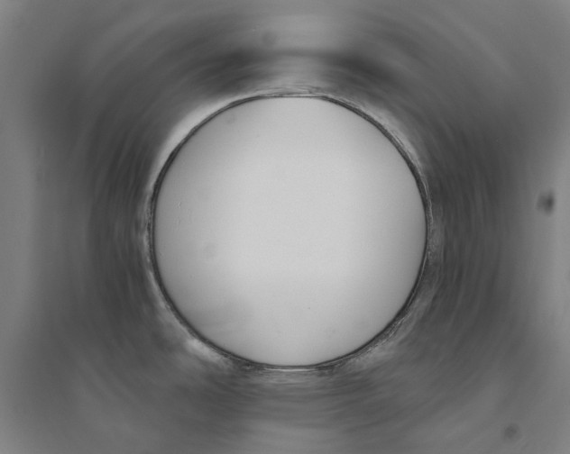 X0000094361486200711301413