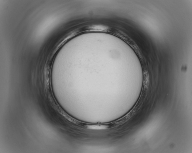X0000094361487200711301413