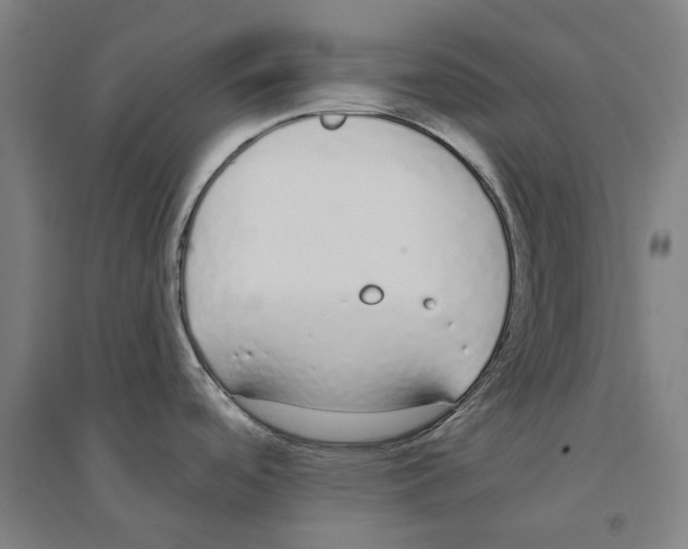 X0000094361488200711301413