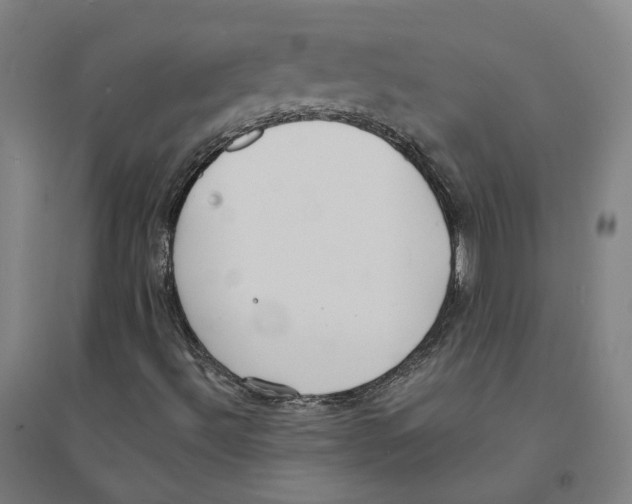 X0000094361492200711301413