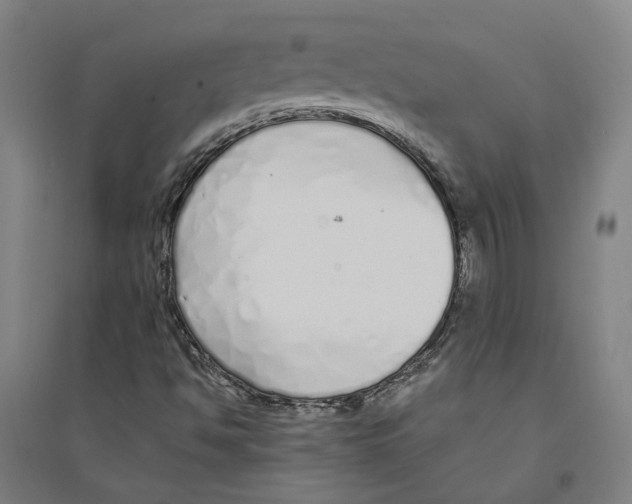 X0000094361494200711301413