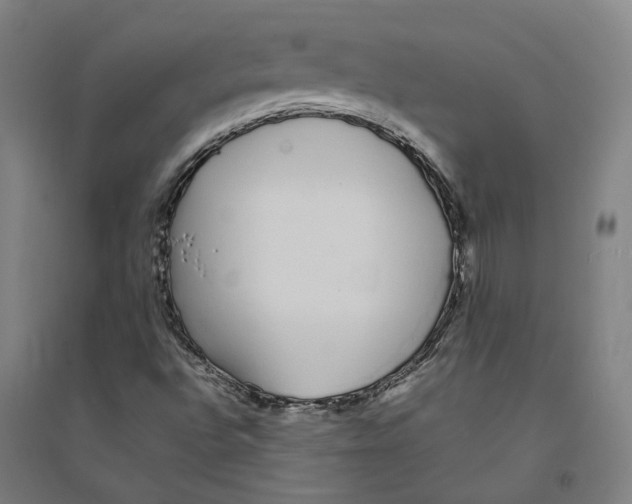 X0000094361496200711301413