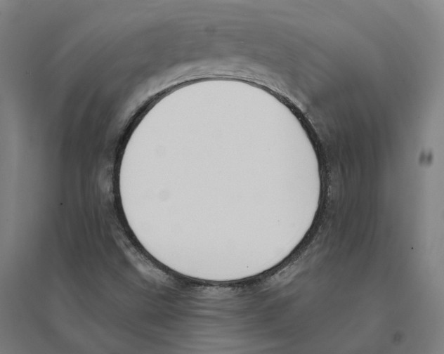 X0000094361499200711301413