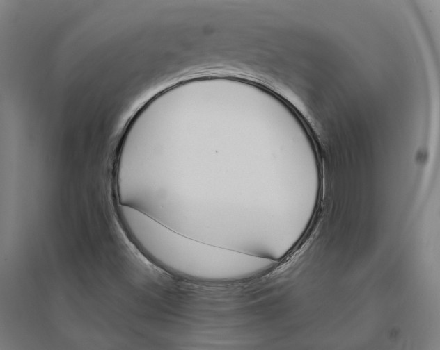 X0000094361500200711301413