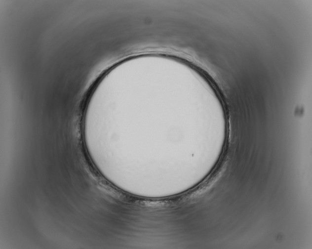 X0000094361501200711301413