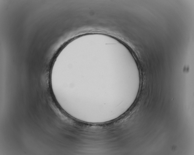X0000094361503200711301413