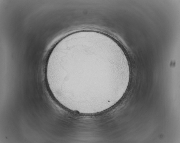 X0000094361504200711301413