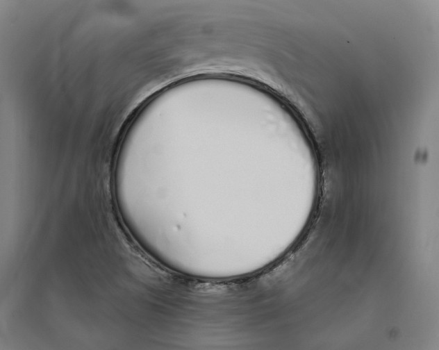 X0000094361505200711301413