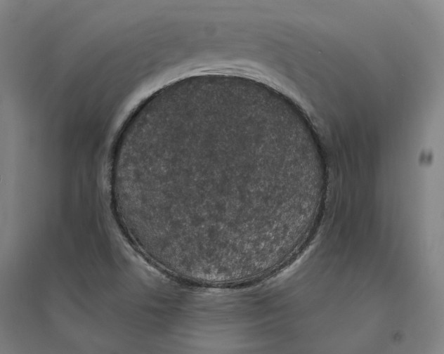 X0000094361506200711301413