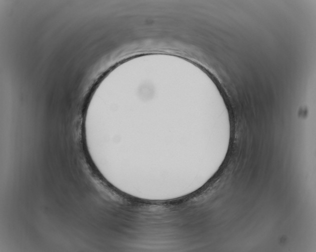 X0000094361507200711301413