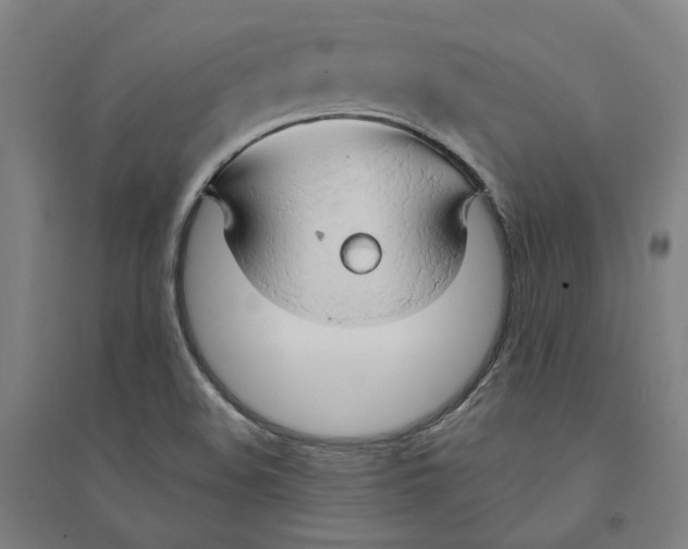 X0000094361508200711301413