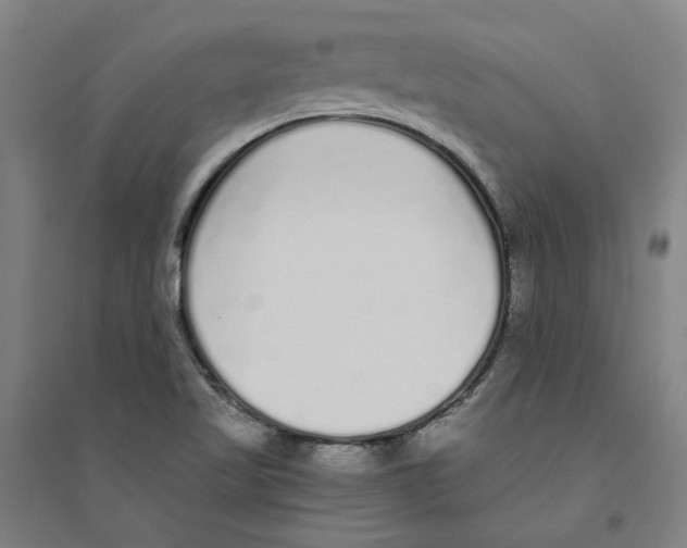 X0000094361509200711301413
