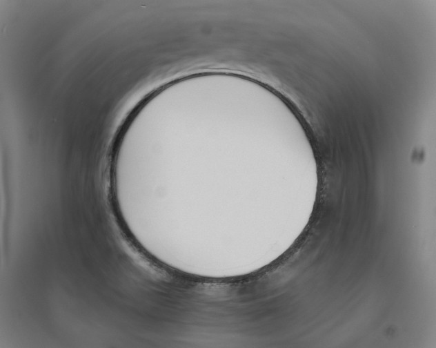 X0000094361511200711301413