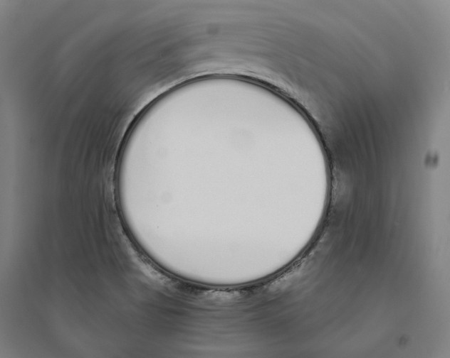X0000094361513200711301413